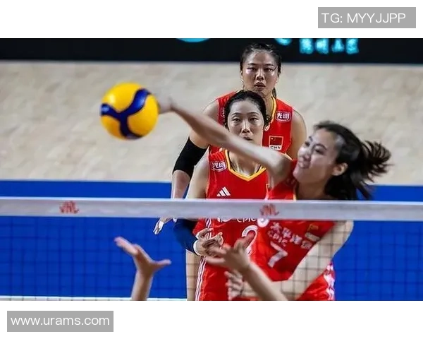 西安排球队灵活性引发热议球迷与专家观点交锋分析