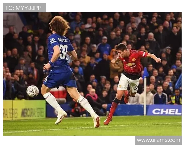 西安篮球队实力引发热议球迷观点分歧背后的深层原因分析